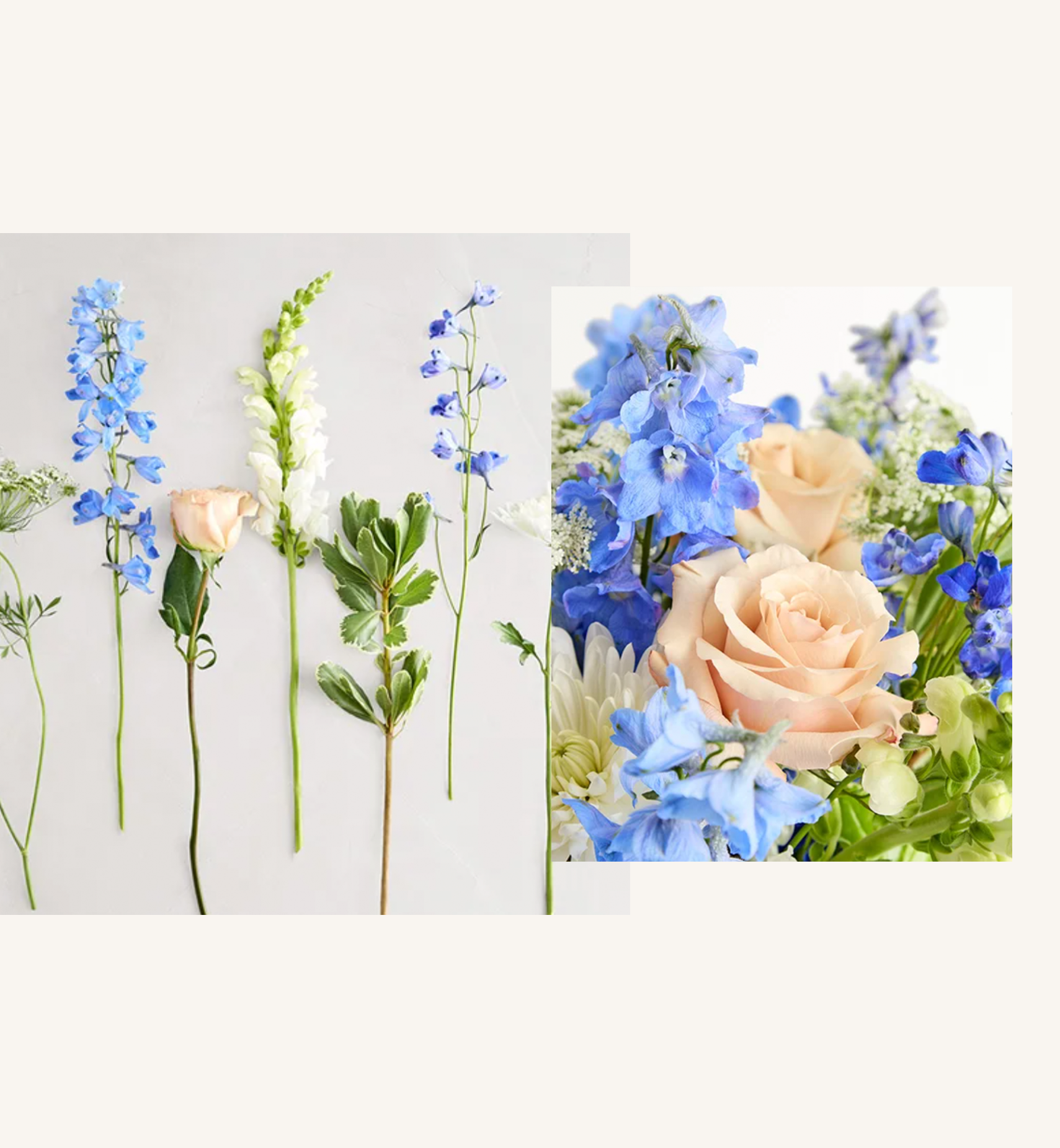 flower of the year