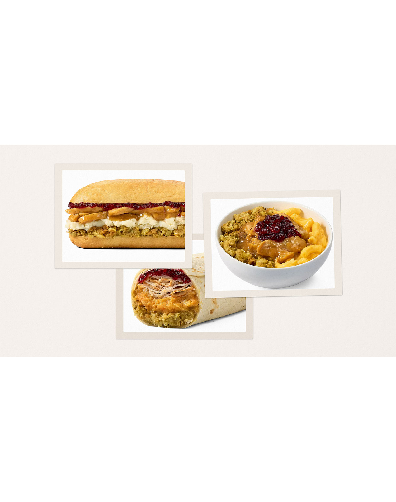 wawa gobbler menu review: wawa gobbler sandwich, wrap and bowl