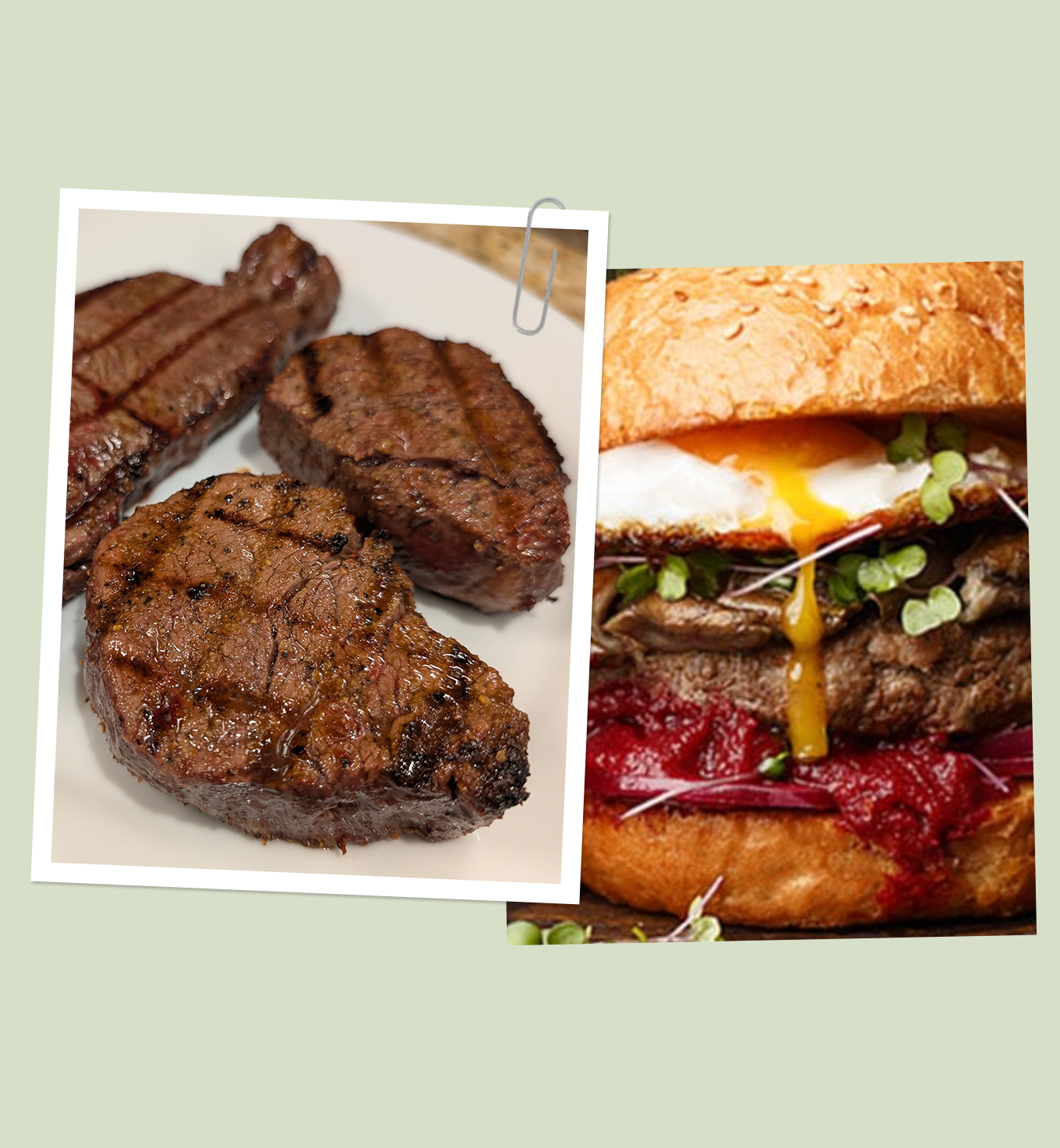 chicago steak company review