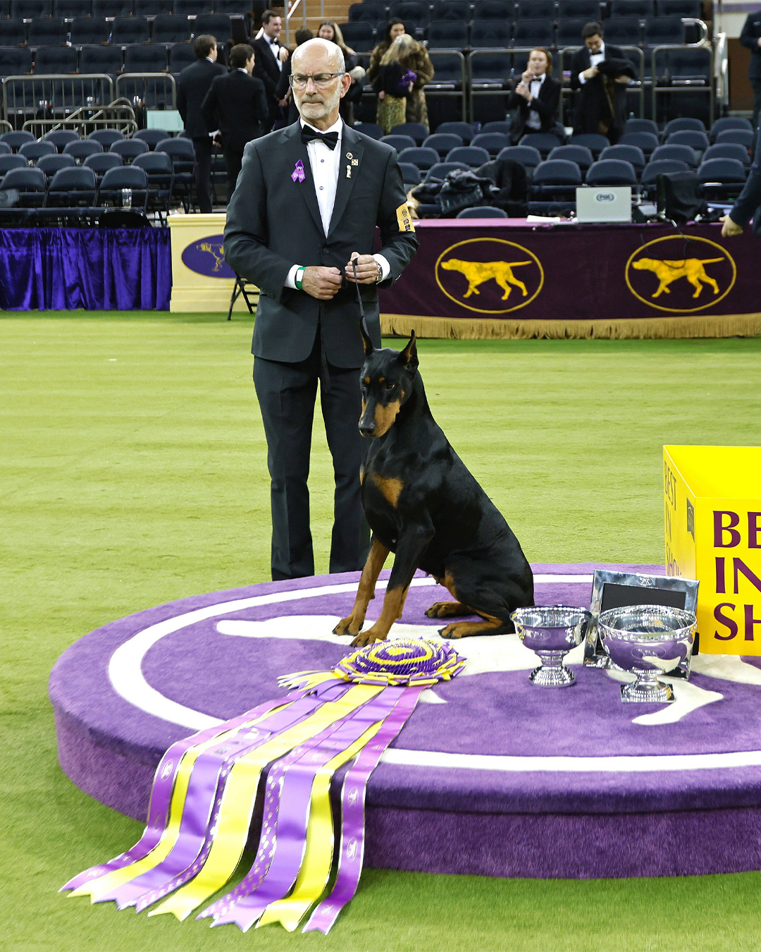 westminster dog show 2026
